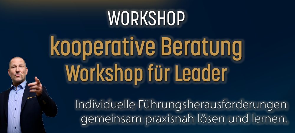 Patrick Ries - Workshop kooperative Beratung für Leader